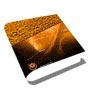 Annual Reports