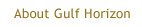 About Gulf Horizon
